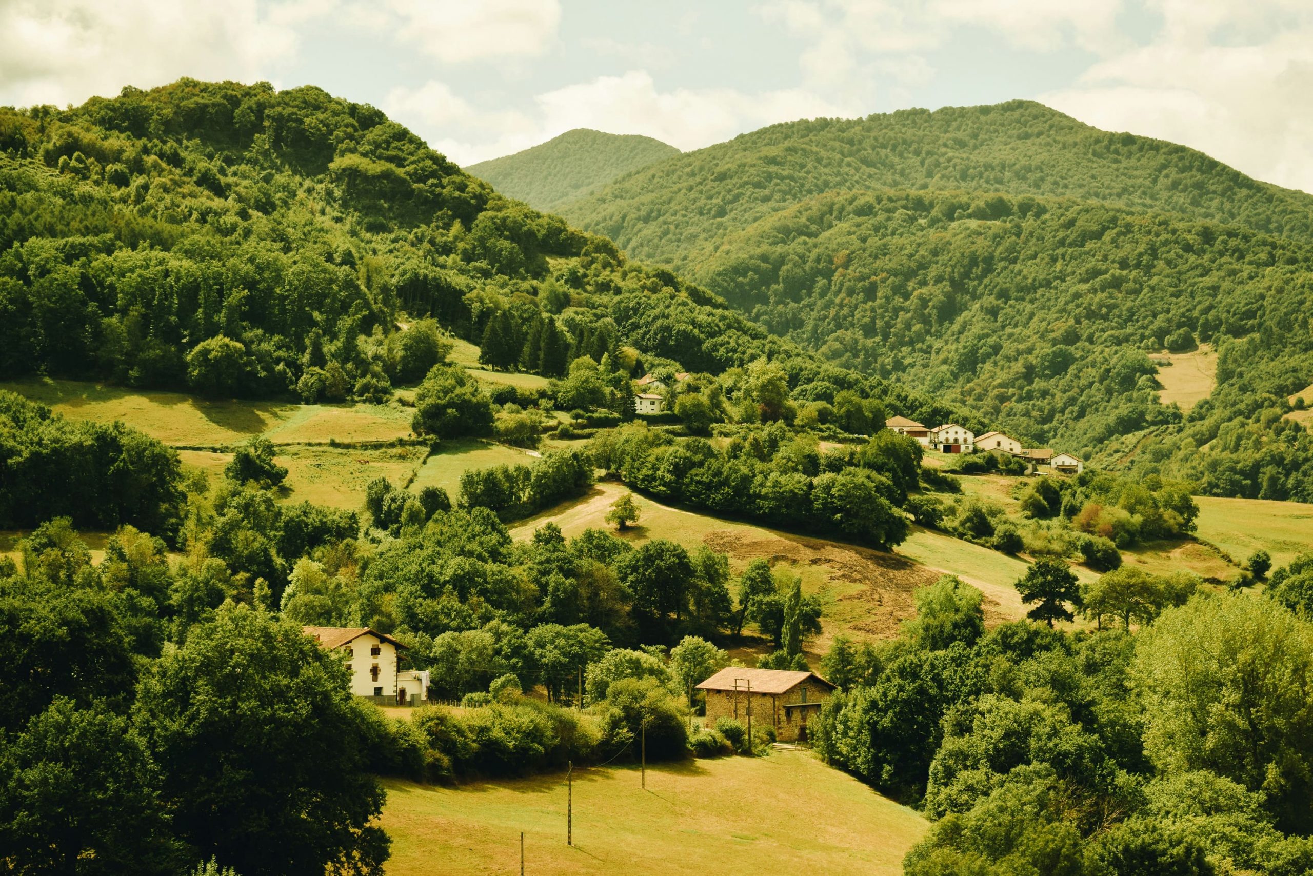 navarra